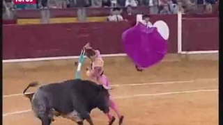 Oh God Oh God The Bull Gored Him Right Through The Face (NSFW)